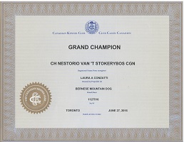 Nestorio Grand Champion