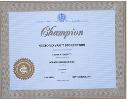 Nestorio Champion