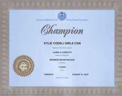 Kylie Champion